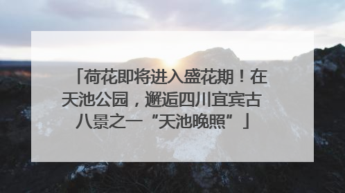 荷花即将进入盛花期！在天池公园，邂逅四川宜宾古八景之一“天池晚照”