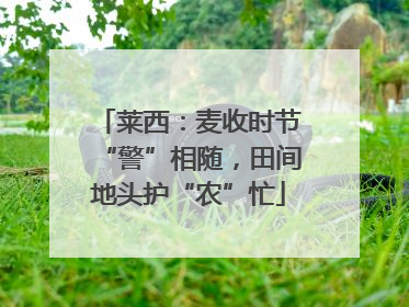 莱西：麦收时节“警”相随，田间地头护“农”忙