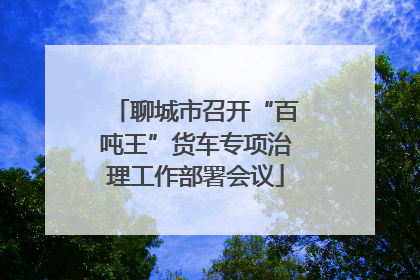 聊城市召开“百吨王”货车专项治理工作部署会议