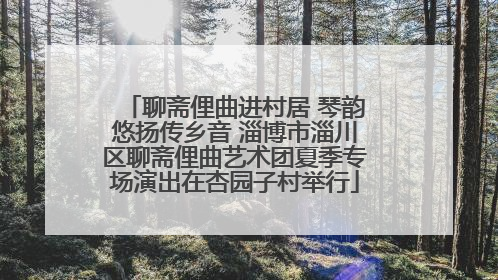 聊斋俚曲进村居 琴韵悠扬传乡音 淄博市淄川区聊斋俚曲艺术团夏季专场演出在杏园子村举行