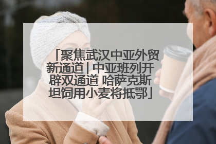 聚焦武汉中亚外贸新通道│中亚班列开辟双通道 哈萨克斯坦饲用小麦将抵鄂