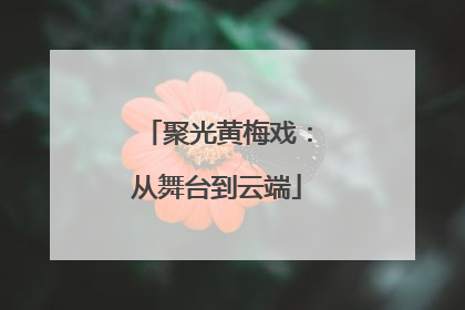 聚光黄梅戏：从舞台到云端