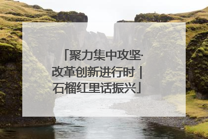 聚力集中攻坚·改革创新进行时｜石榴红里话振兴