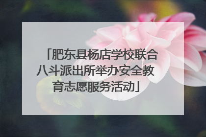 肥东县杨店学校联合八斗派出所举办安全教育志愿服务活动