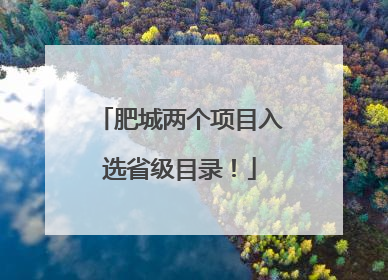 肥城两个项目入选省级目录！