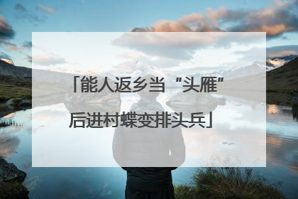 能人返乡当“头雁” 后进村蝶变排头兵