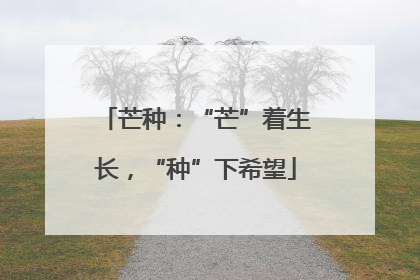 芒种：“芒”着生长，“种”下希望