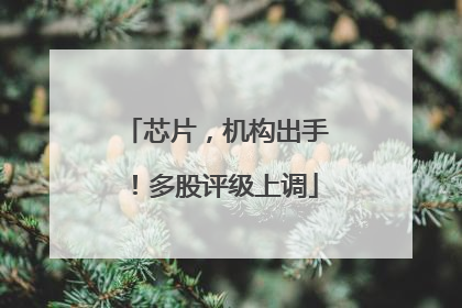 芯片，机构出手！多股评级上调