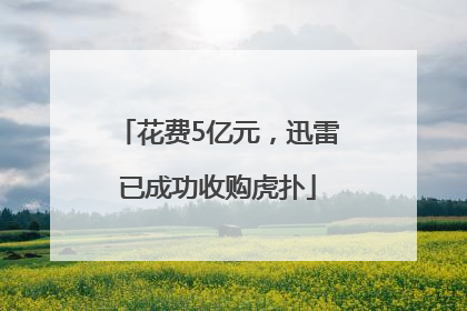 花费5亿元，迅雷已成功收购虎扑