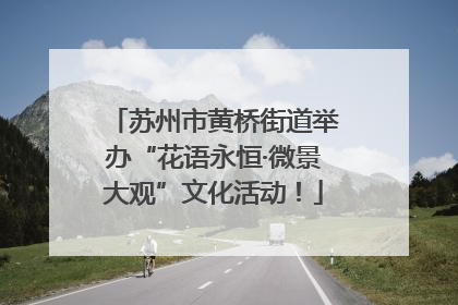 苏州市黄桥街道举办“花语永恒·微景大观”文化活动！