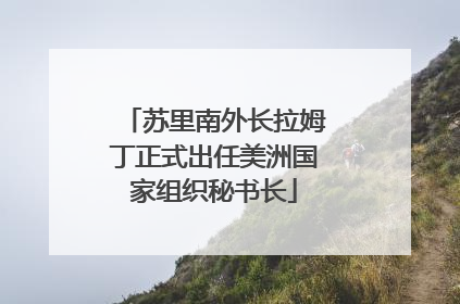 苏里南外长拉姆丁正式出任美洲国家组织秘书长