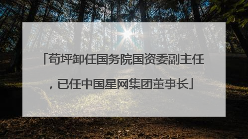 苟坪卸任国务院国资委副主任，已任中国星网集团董事长
