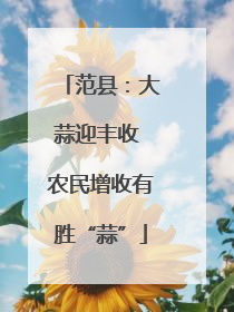 范县：大蒜迎丰收 农民增收有胜“蒜”