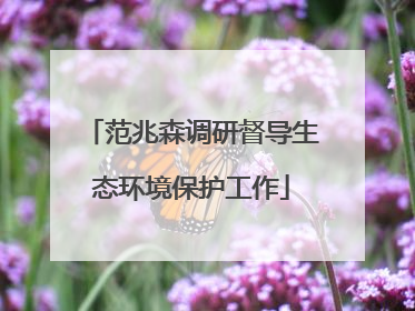 范兆森调研督导生态环境保护工作