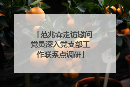 范兆森走访慰问党员深入党支部工作联系点调研
