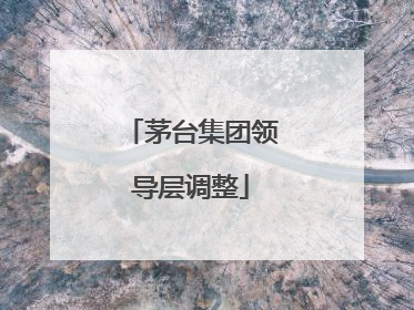 茅台集团领导层调整