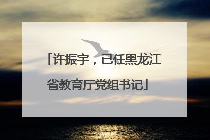 许振宇，已任黑龙江省教育厅党组书记
