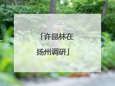 许昆林在扬州调研