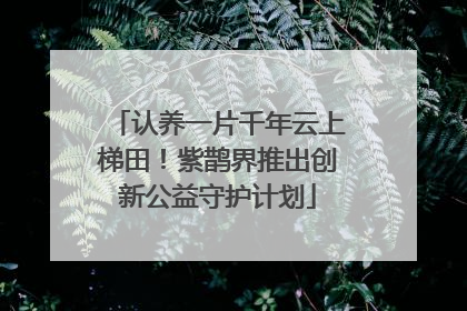 认养一片千年云上梯田！紫鹊界推出创新公益守护计划