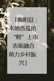 衡阳县：本地香瓜抢“鲜”上市 农旅融合助力乡村振兴