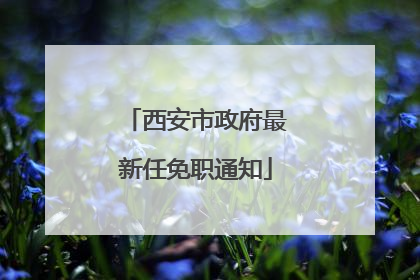 西安市政府最新任免职通知