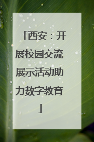 西安：开展校园交流展示活动助力数字教育