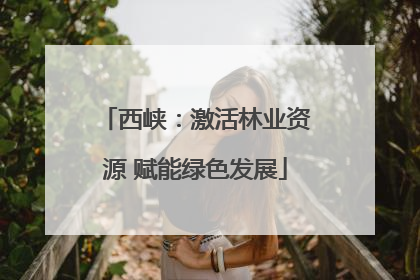 西峡：激活林业资源 赋能绿色发展