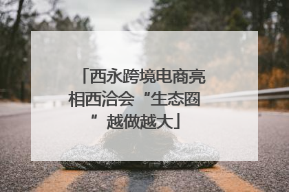 西永跨境电商亮相西洽会“生态圈”越做越大