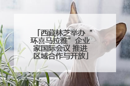 西藏林芝举办“环喜马拉雅”企业家国际会议 推进区域合作与开放