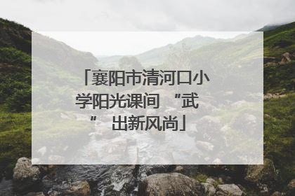 襄阳市清河口小学阳光课间 “武” 出新风尚