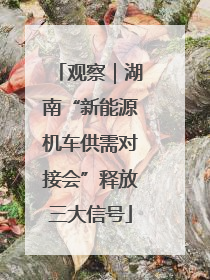 观察｜湖南“新能源机车供需对接会”释放三大信号