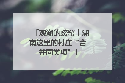 观潮的螃蟹丨湖南这里的村庄“合并同类项”