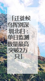 迁徙候鸟挥别深圳北归：单日监测数量最高突破2万只