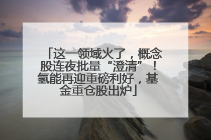 这一领域火了，概念股连夜批量“澄清”！氢能再迎重磅利好，基金重仓股出炉