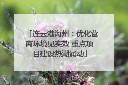 连云港海州：优化营商环境见实效 重点项目建设热潮涌动