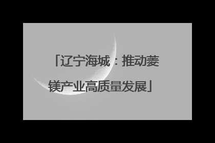 辽宁海城：推动菱镁产业高质量发展