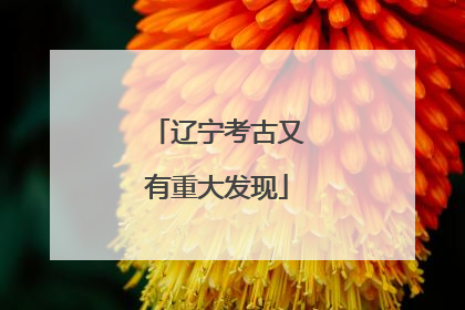 辽宁考古又有重大发现