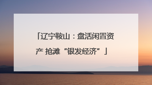 辽宁鞍山：盘活闲置资产 抢滩“银发经济”