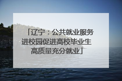 辽宁：公共就业服务进校园促进高校毕业生高质量充分就业