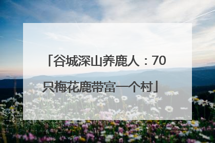 谷城深山养鹿人：70只梅花鹿带富一个村
