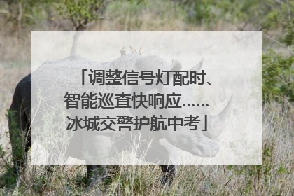调整信号灯配时、智能巡查快响应……冰城交警护航中考