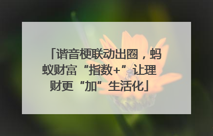 谐音梗联动出圈，蚂蚁财富“指数+”让理财更“加”生活化