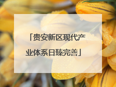贵安新区现代产业体系日臻完善