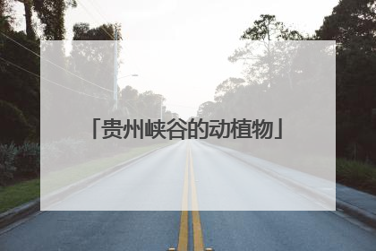 贵州峡谷的动植物