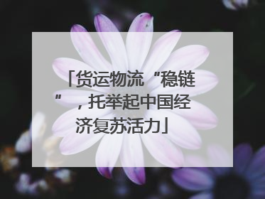 货运物流“稳链”，托举起中国经济复苏活力