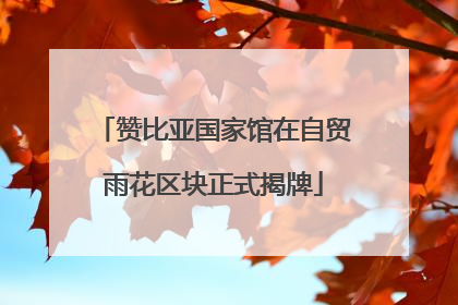 赞比亚国家馆在自贸雨花区块正式揭牌
