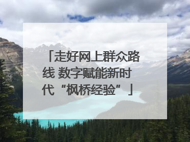 走好网上群众路线 数字赋能新时代“枫桥经验”