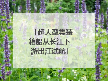 超大型集装箱船从长江下游出江试航