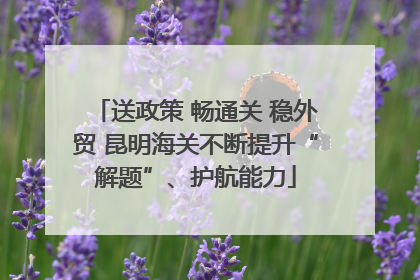送政策 畅通关 稳外贸 昆明海关不断提升“解题”、护航能力