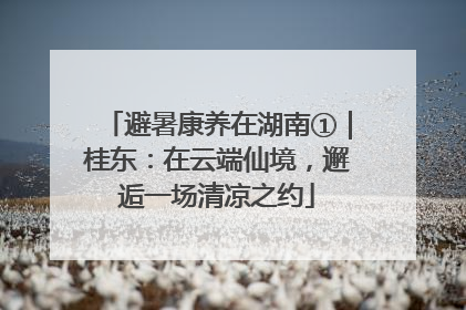 避暑康养在湖南①｜桂东：在云端仙境，邂逅一场清凉之约
